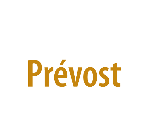 Atelier de Clotilde - Artiste plasticienne